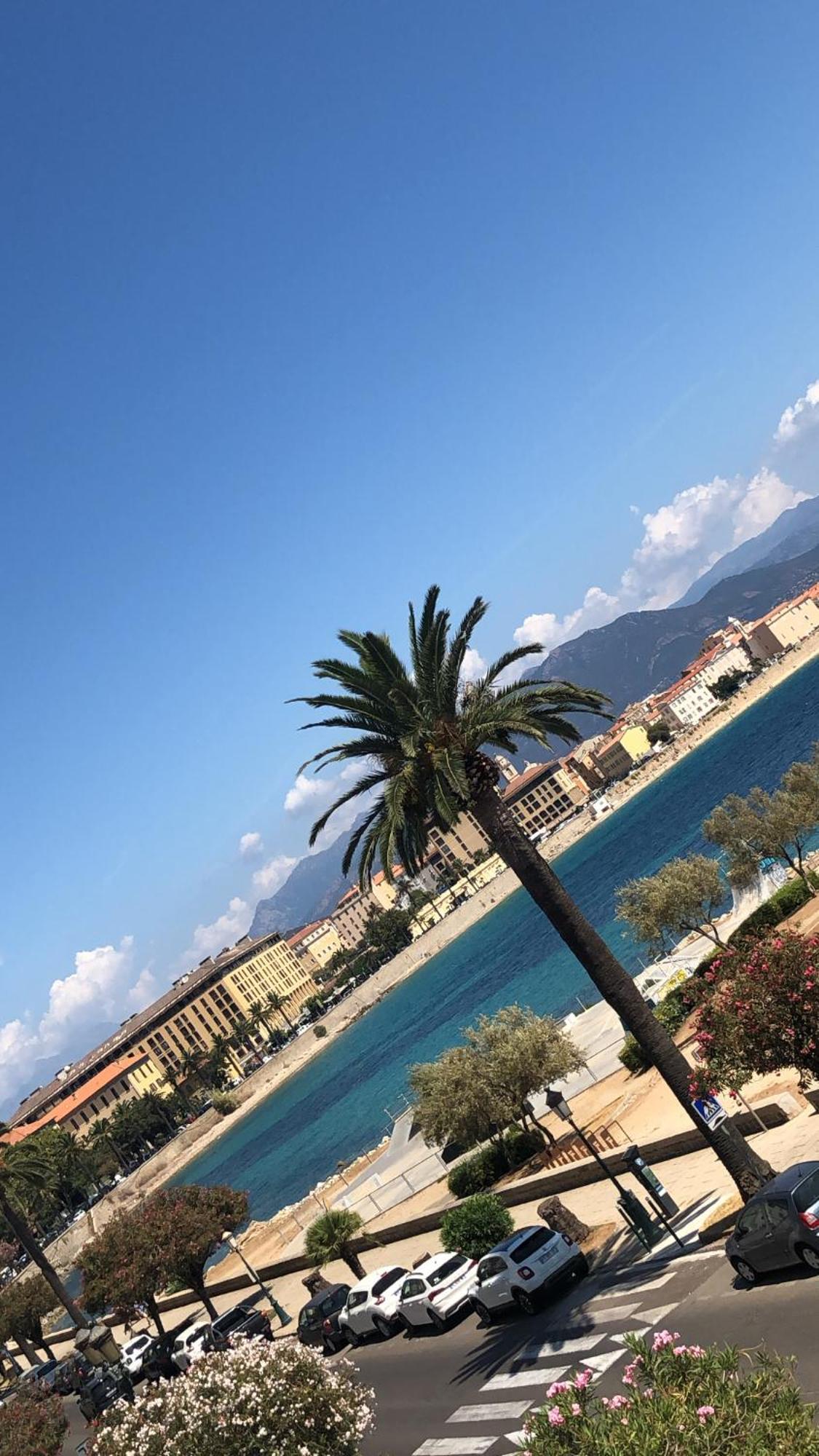 Apartment Bas De Avec Jardin Idealement Situe Entre Ajaccio Et Porticcio *