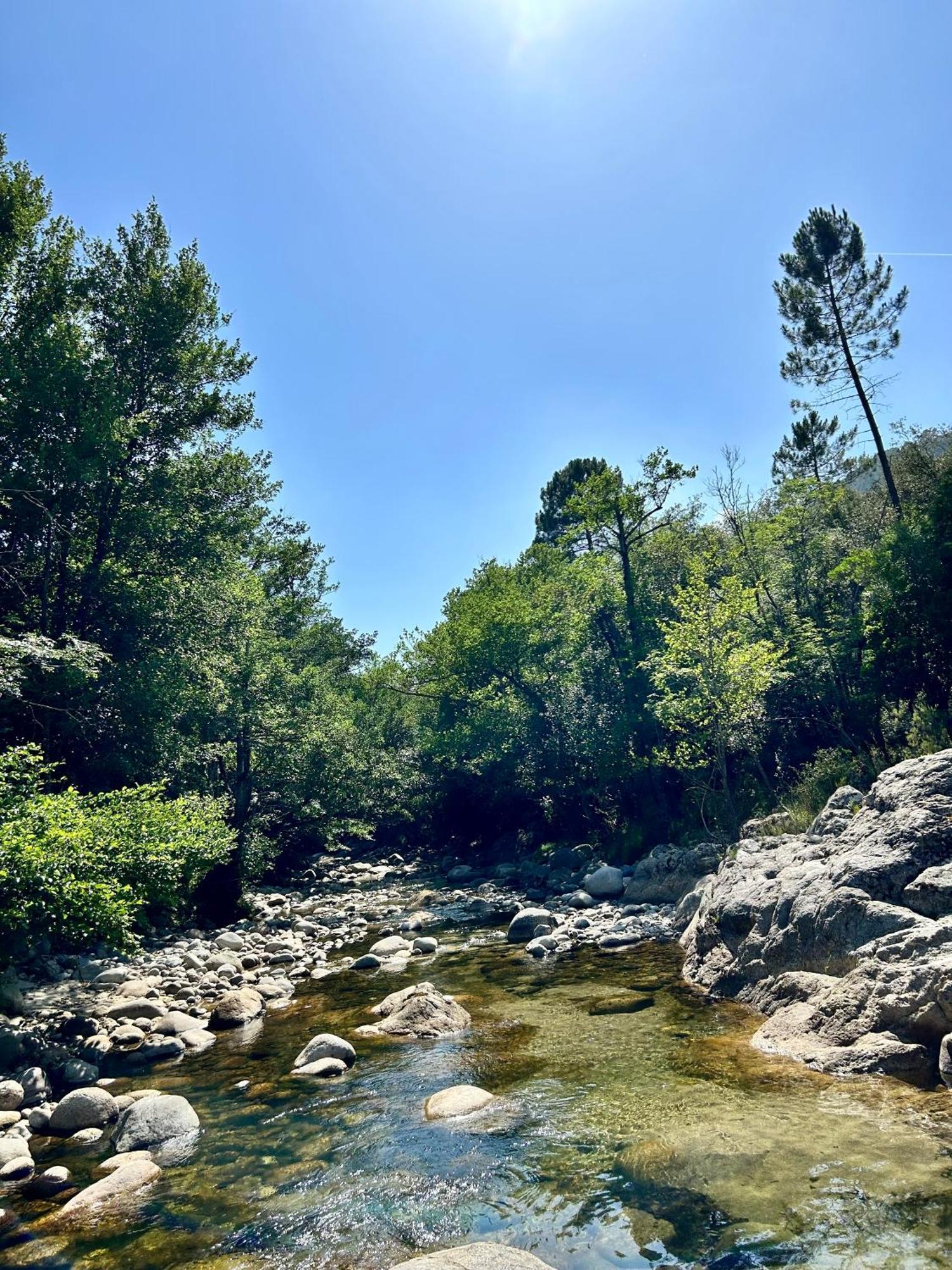 Bas De Avec Jardin Idealement Situe Entre Ajaccio Et Porticcio *